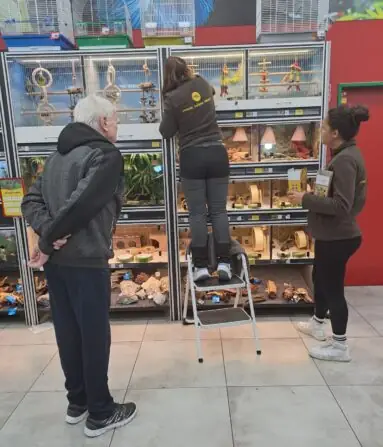 4ad01dbe-cae7-401e-bc02-8ca1c0dfda82