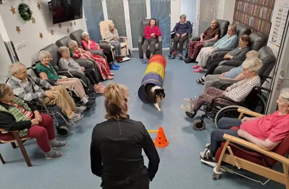 63e42637-2289-4a96-9fba-48a2730463a7