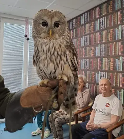 701d8698-d0ab-44b4-ae45-f4412b7312d1