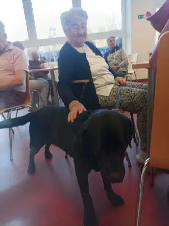 7d4eb4ba-ff03-4da6-9517-4b73dc277e91