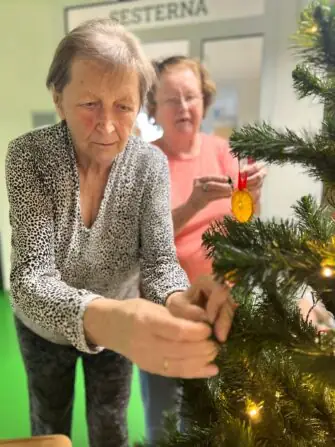 Obrázek WhatsApp, 2024-11-27 v 11.05.34_940286cf