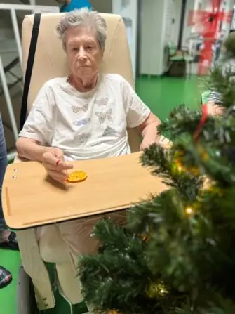 Obrázek WhatsApp, 2024-11-27 v 11.05.54_fd27f9fb