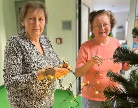 Obrázek WhatsApp, 2024-11-27 v 11.06.03_b2db91c6