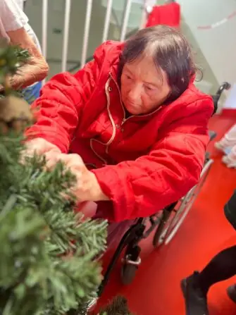 Obrázek WhatsApp, 2024-11-27 v 11.08.13_768e8483