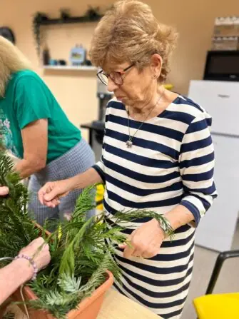 Obrázek WhatsApp, 2024-11-27 v 11.12.14_f33ebfa7