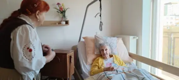 Obrázek WhatsApp, 2024-11-28 v 12.13.47_34e086b6