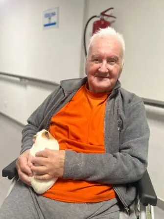 Obrázek WhatsApp, 2024-12-02 v 15.09.19_b22fc845