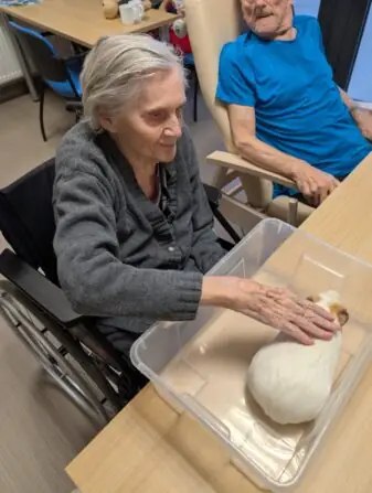 Obrázek WhatsApp, 2024-12-03 v 08.32.01_1315d1c8