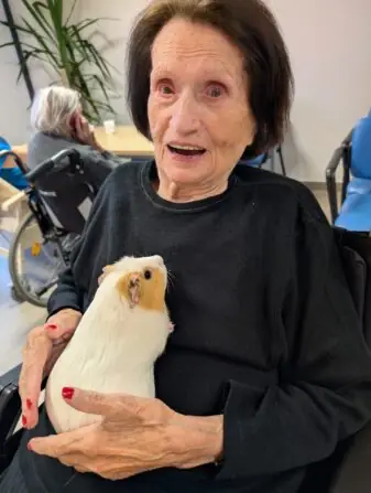 Obrázek WhatsApp, 2024-12-03 v 08.32.01_d60b2b97