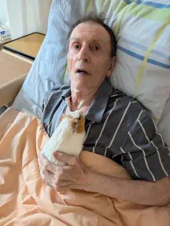 Obrázek WhatsApp, 2024-12-03 v 08.32.02_baf1d1d4