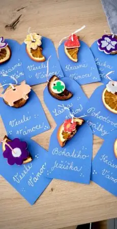 PHOTO-2024-12-20-16-01-03