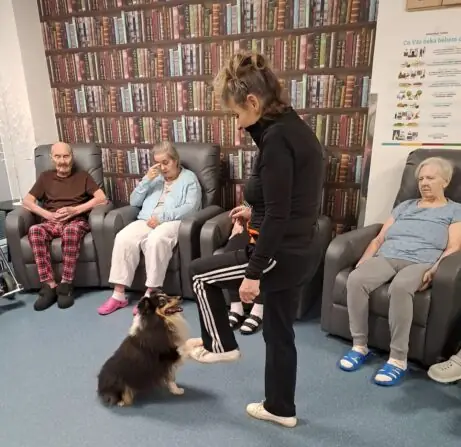 eade38be-ce52-4de1-a361-0ba7f2c1c9e7