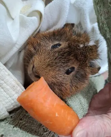 11727ff9-b967-43cb-8bdb-f5e6d32e120d