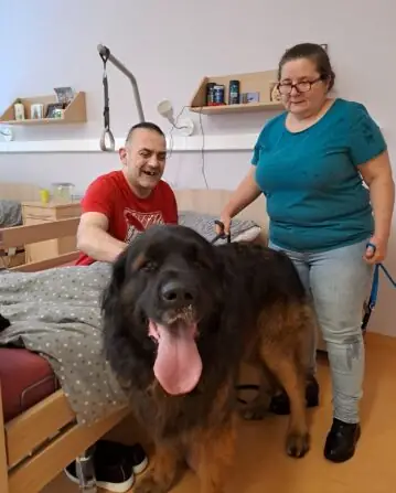 1e3a484b-f045-4dd8-8fa2-c23a7569f11c