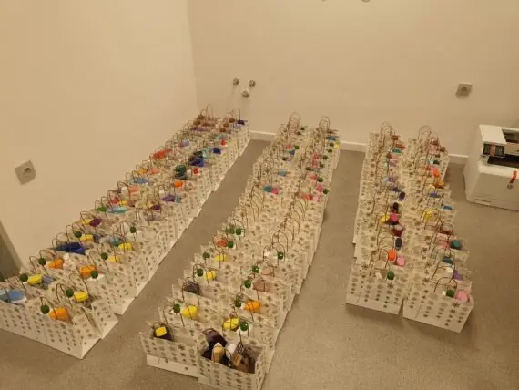 54eb65bd-3578-4b26-bdb3-9e557dfaf07e