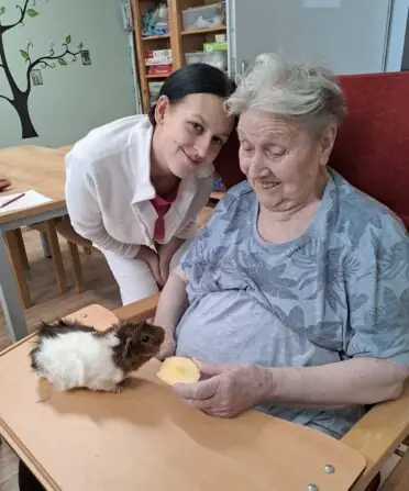 6fb3c789-74c8-4b88-8ccc-f9dde92c83f6