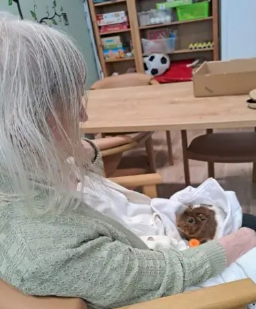 6febbe50-07a7-468c-b18a-51962541fb23