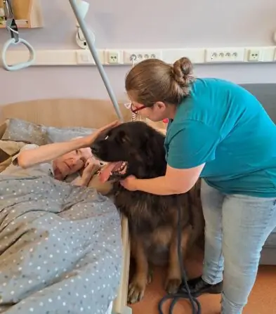 96a5ca85-34ca-48a4-b26c-7a8aa7d10fea