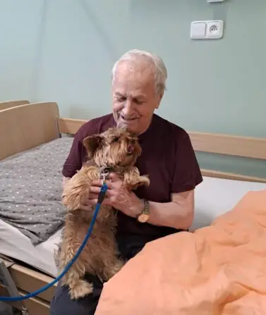 9a686cdb-123d-4c0c-903d-2086cffa4ed6