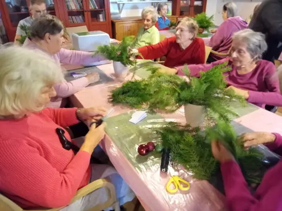 IMG_20241125_101420_032