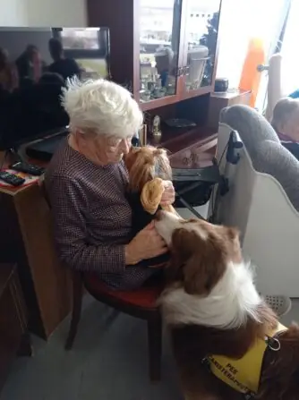 IMG_20241215_103450(1)