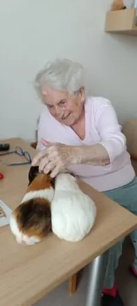 Obrázek WhatsApp, 2024-12-16 v 15.01.27_9b434a71