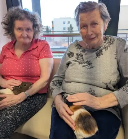 Obrázek WhatsApp, 2025-01-10 v 14.54.09_c4390ea0