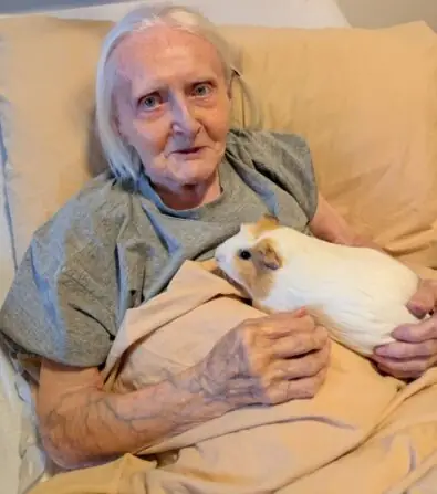 Obrázek WhatsApp, 2025-01-10 v 14.54.22_3cb2a683