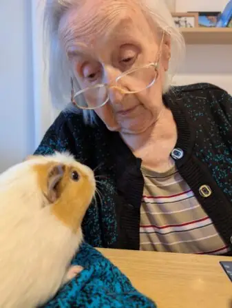 Obrázek WhatsApp, 2025-01-10 v 14.54.27_dc04f0c2