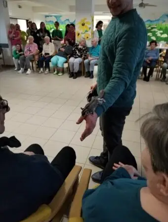 Screenshot_20250123_142619_edit_4318791303664