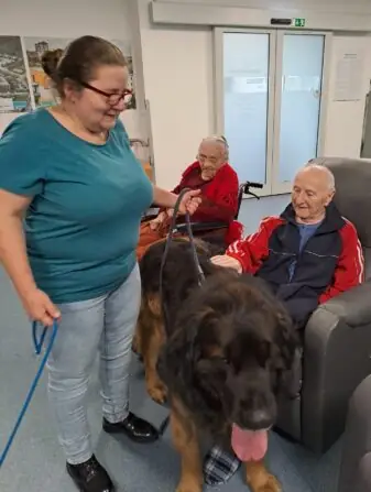 c52f0aa9-65ab-4c7e-a35d-facebe6c3b2c