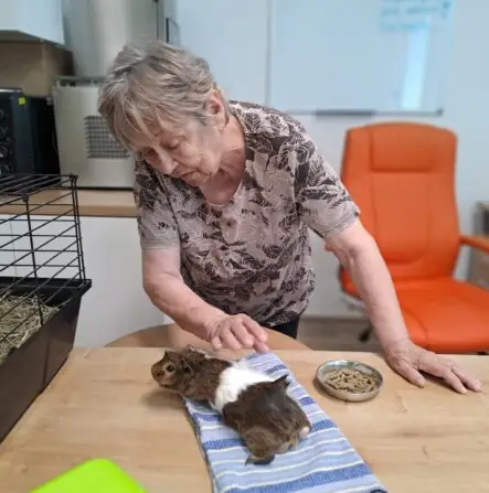 e6a6d5e9-db53-4d43-bc49-eb4110368610