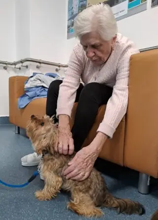 f0b358d9-557b-4780-bb08-2407a1695b33