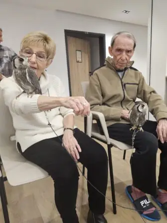 08385d11-fea3-4d64-897e-ba3e41617faa