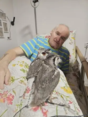 346e57ac-a532-4102-8a86-7ba11f5ec6b1