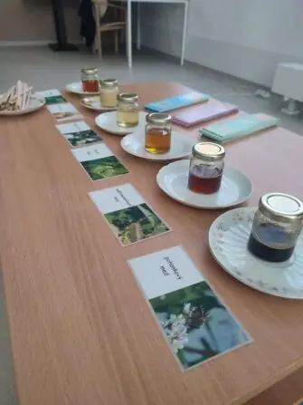 480132709_1610179976279957_4577557869919144600_n