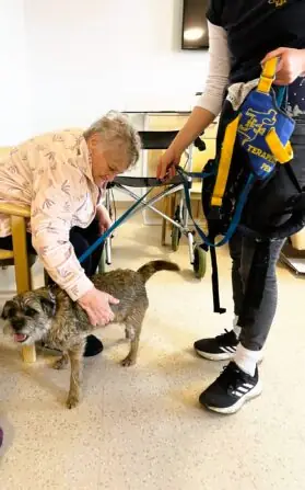 480197048_571890912519286_4442285068424704334_n