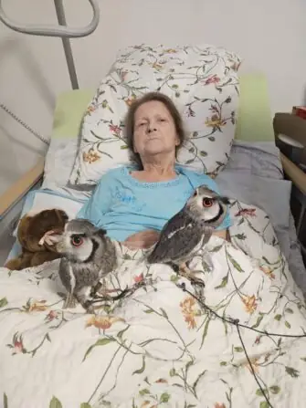 a2b89e57-eb77-4489-a393-79d72ef7e220