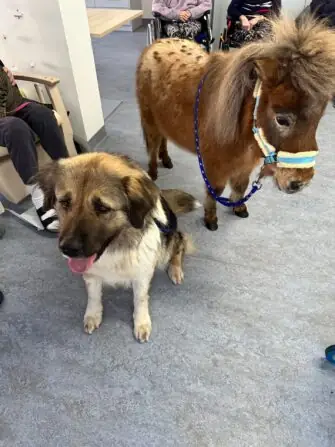 thumbnail_image1 (1)