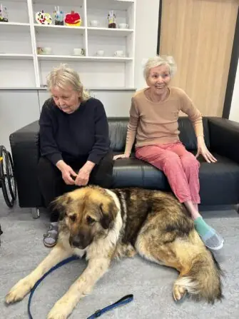 thumbnail_image2 (2)