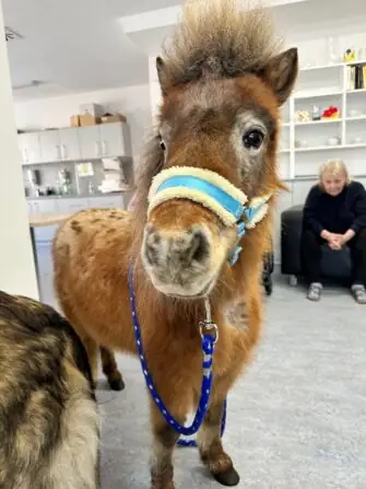 thumbnail_image3 (1)