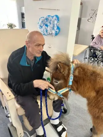 thumbnail_image3 (2)