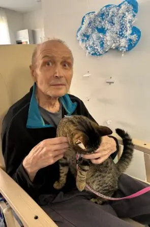 thumbnail_image4 (1)