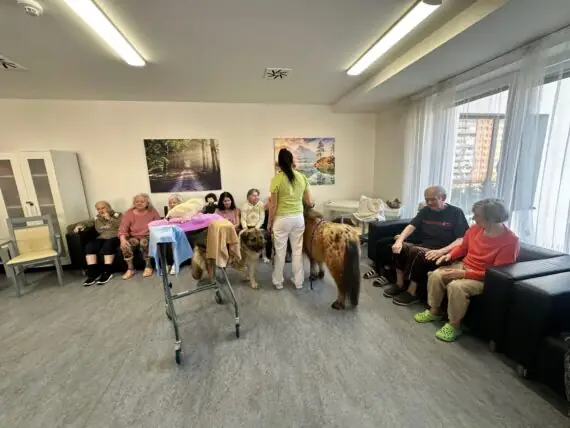 thumbnail_image5 (1)