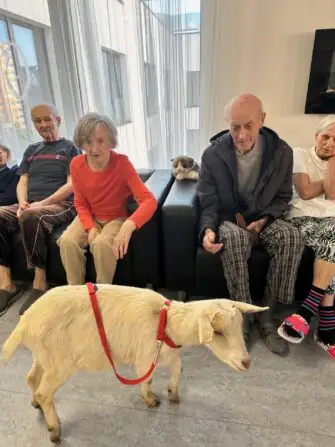 thumbnail_image5 (2)