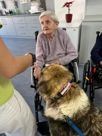 thumbnail_image7 (1)