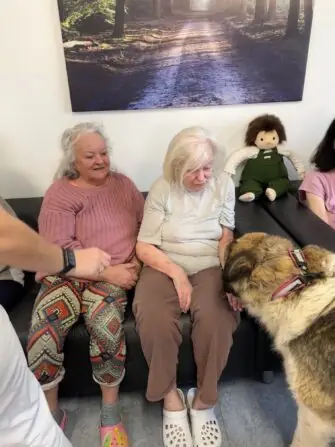 thumbnail_image9 (1)