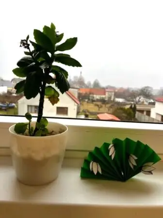 480868624_577271595314551_5994857057032279677_n