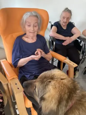 481663414_623214210421571_7195208216828505078_n