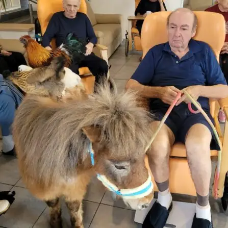 482302511_623215293754796_6525189078718238748_n